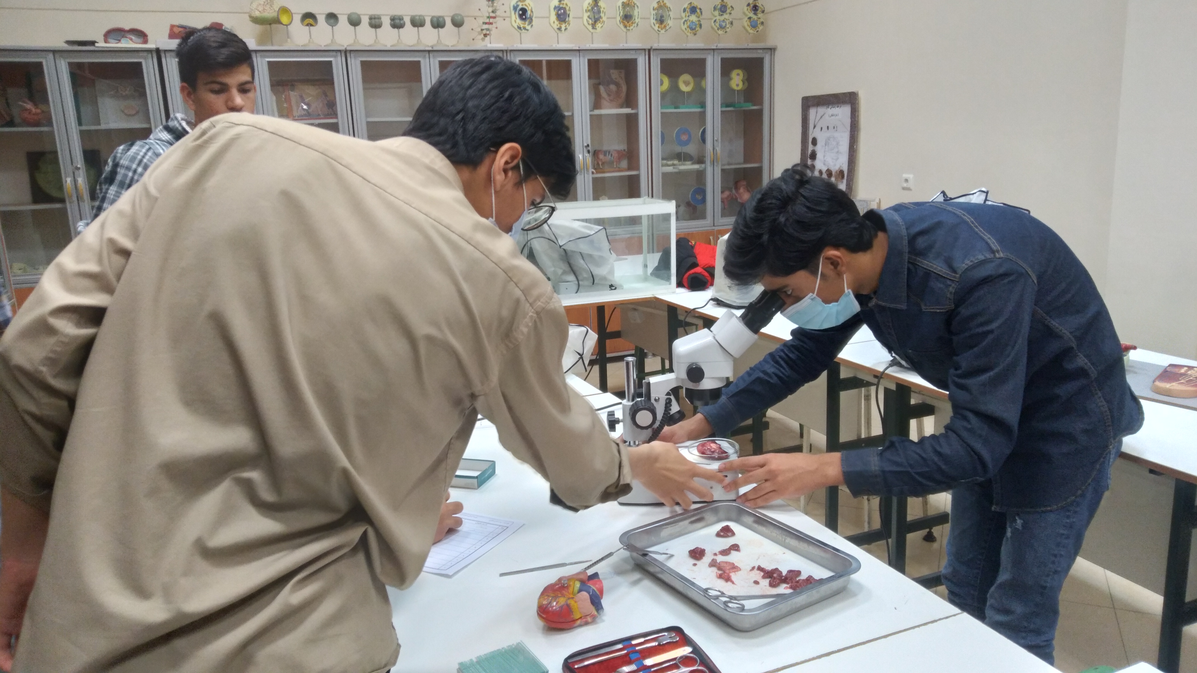 جلسه آمادگی مسابقات علوم آزمایشگاهی ویژه دانش آموزان منتخب واحد۱۰