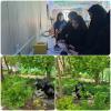  میزبانی دانش آموزان دوره اول متوسطه  واحد ۶ در سرزمین دانایی و زیست پارک گیاهان دارویی 